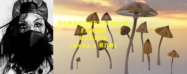 амфетамин Вяземский
