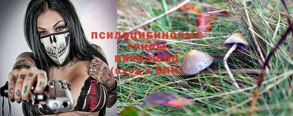 СК Вязники