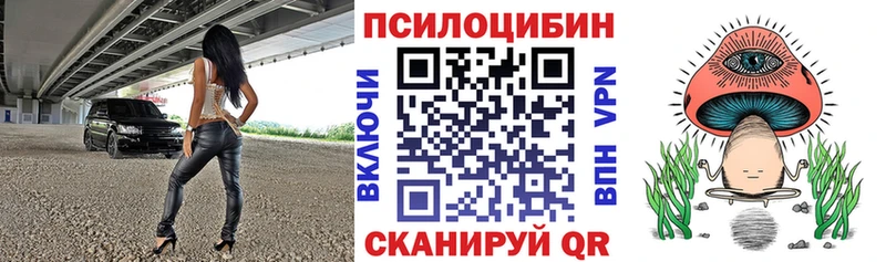 Галлюциногенные грибы Psilocybe  где можно купить наркотик  Бийск 